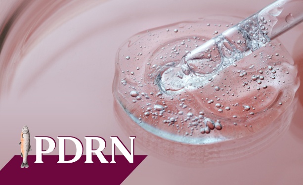 ภาพประกอบ PDRN จากเอกสารบริษัท