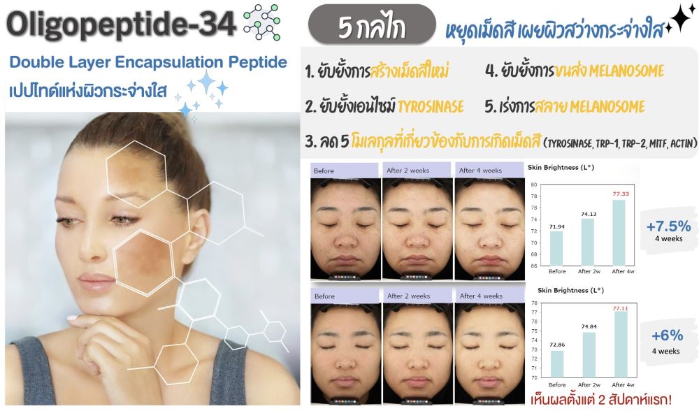ภาพประกอบ Oligopeptide-34 จากเอกสารบริษัท