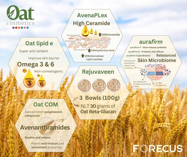 ภาพประกอบ Oat Lipid E จากเอกสารบริษัท