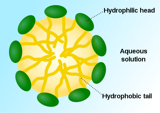 ภาพประกอบ PEG-6 Caprylic/Capric Glycerides จากเอกสารบริษัท