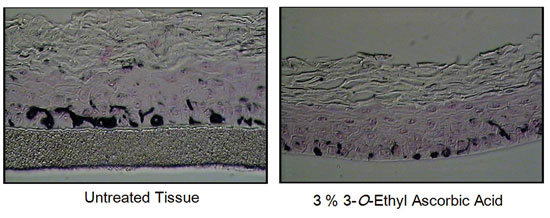 ภาพประกอบ Cos VCE (3-0 Ethyl Ascorbic Acid) จากเอกสารบริษัท